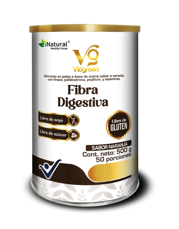 VIDGREEN FIBRA DIGESTIVA 500g